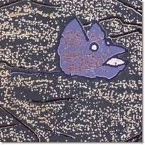 Cover Cover