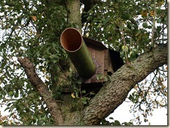 Voor welke vogels is deze nestkast bedoeld?