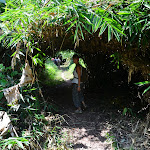 DSC_0110.JPG