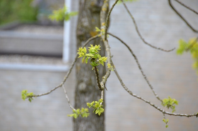 DSC_0362 DSC_0362