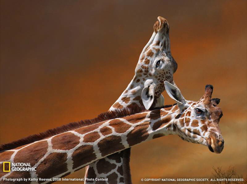 PHOTOS FROM NATIONAL GEOGRAPHIC