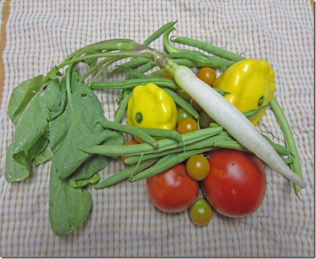 Icicle radish and veggies