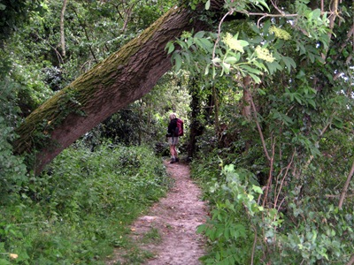 Severn Way Stage 24 230511 013 Severn Way Stage 24 230511 013