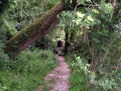 Severn Way Stage 24 230511 013