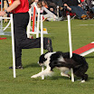 IMG_0794.JPG