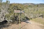 DSC_0063.JPG