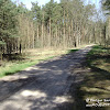 żółty szlak dsc06375.jpg