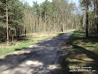 żółty szlak