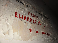 dsc05978.jpg