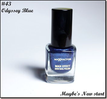 IMG_1700 IMG_1700
