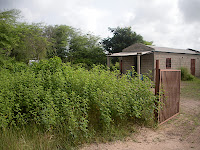DSCN0736.JPG