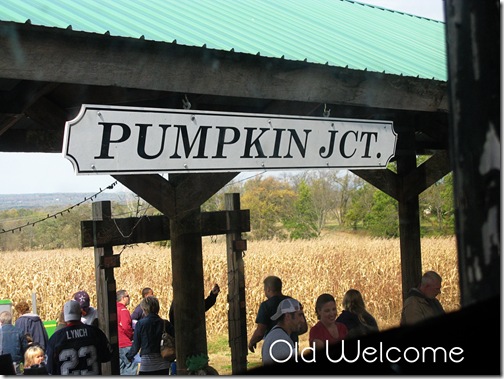 pumpkin junction