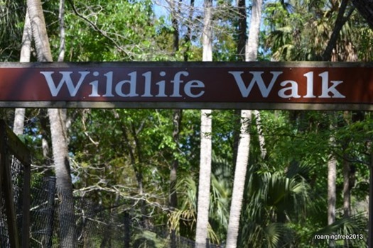 Wildlife Walk