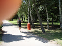 P6280861.JPG