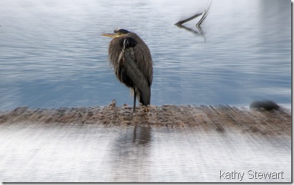 Modified Heron Picture