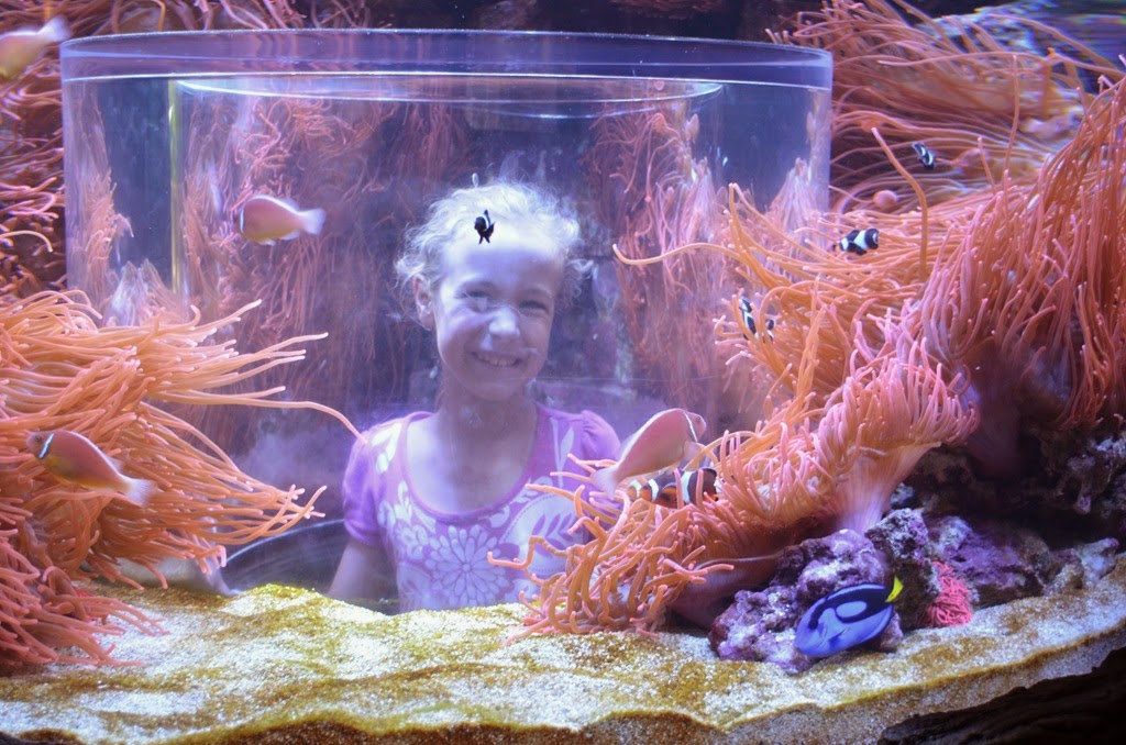 [DSC_8481%255B3%255D.jpg]