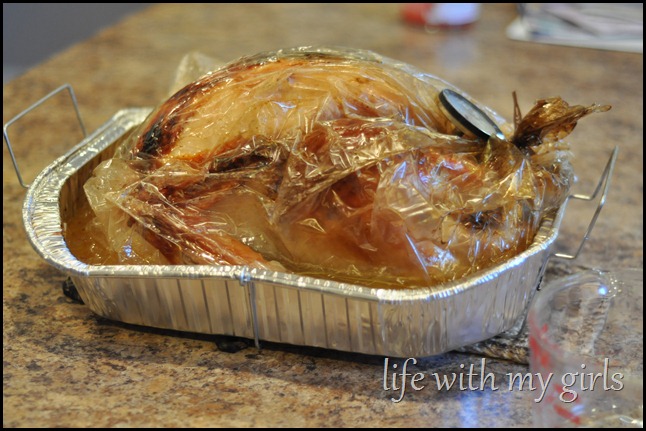 DSC_0097 DSC_0097