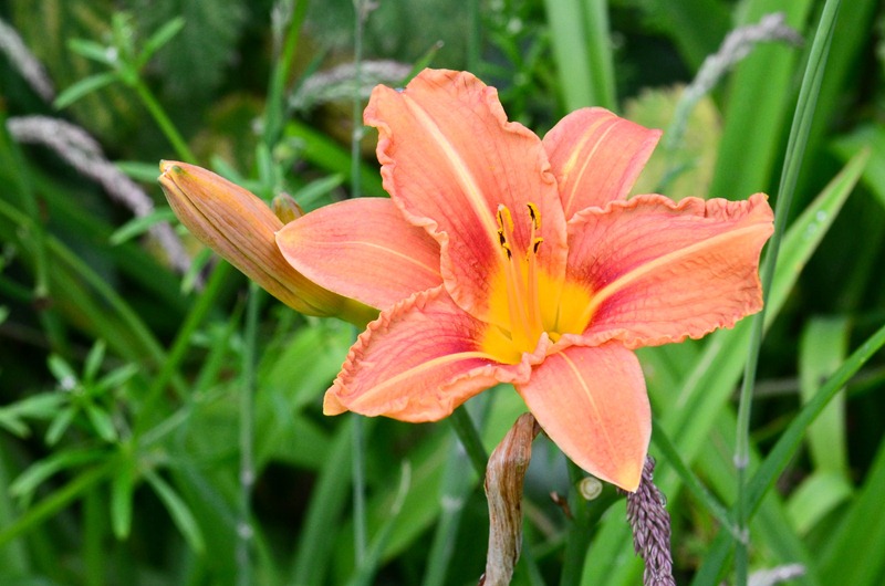 [chateau%2520%252020%255B4%255D.jpg]