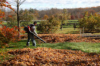 Ah-ha!  Chhewang is blowing leaves into piles.  I hope he's wearing his ear plugs.