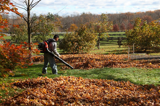 Ah-ha!  Chhewang is blowing leaves into piles.  I hope he's wearing his ear plugs.