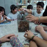 DSC04414.JPG