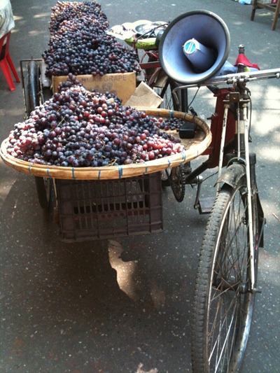 Bike and grapes
