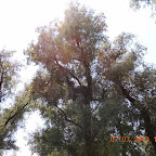 DSCN9691.JPG