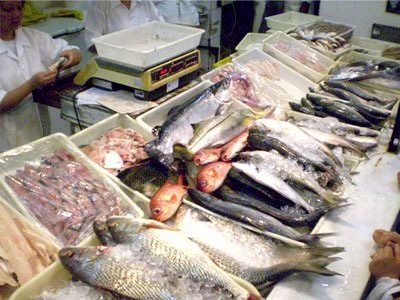 [peixe%255B4%255D.jpg]