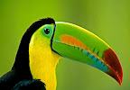 Sprachaufenthalt Costa Rica