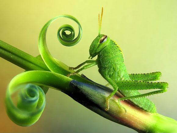 Photography of Natures beauty at its best