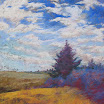 fine - finej_summer%252527sserenade.jpg
