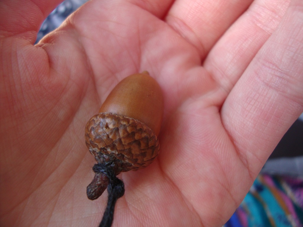[acorn%255B2%255D.jpg]