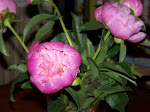 100_4882.JPG