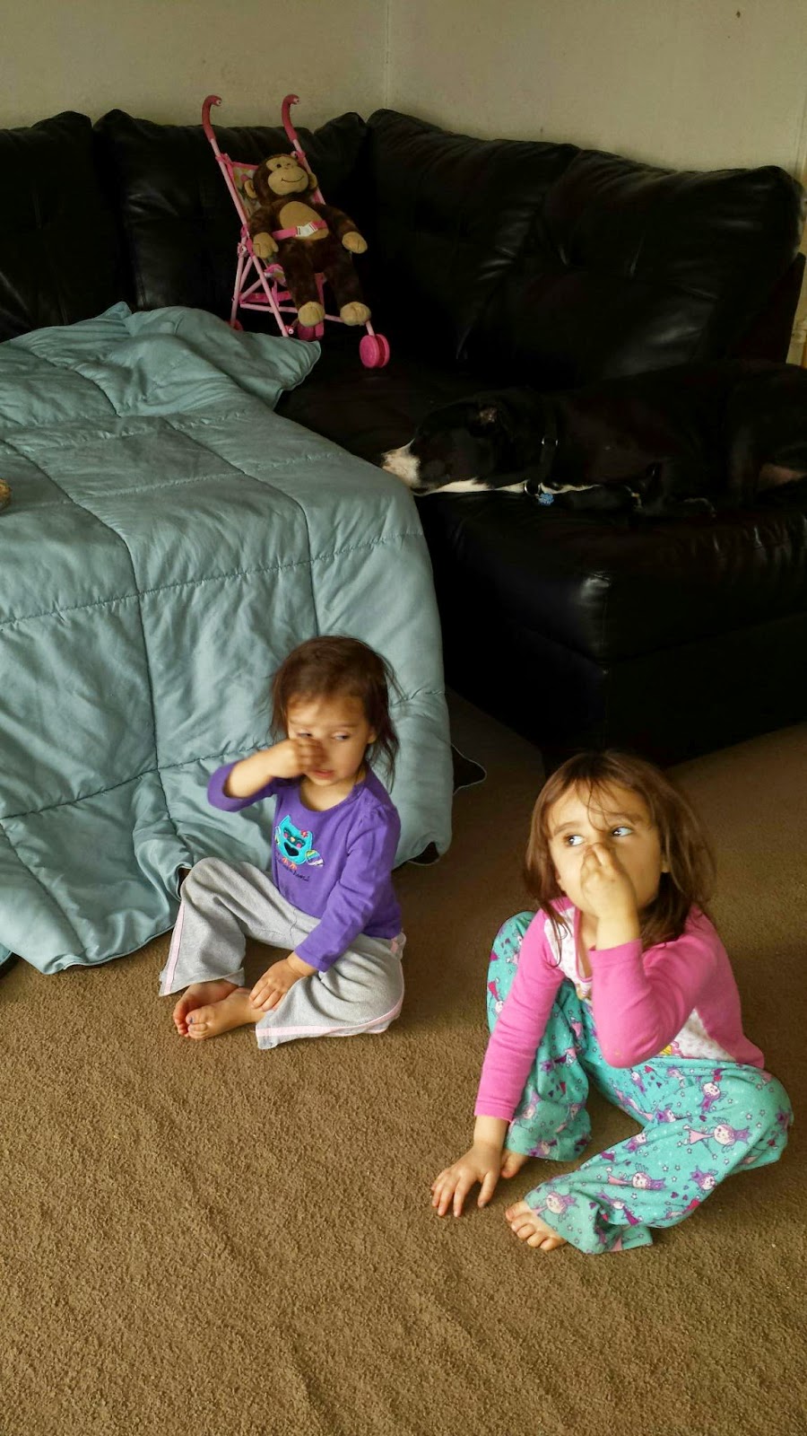 Chicken Nugget Mom Diving into our ocean caves