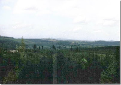 View from the Weyerhaeuser Woods Railroad (WTCX) at Headquarters, Washington on May 17, 2005