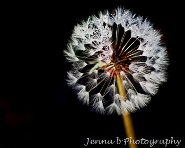 IMG_9902-4 IMG_9902-4