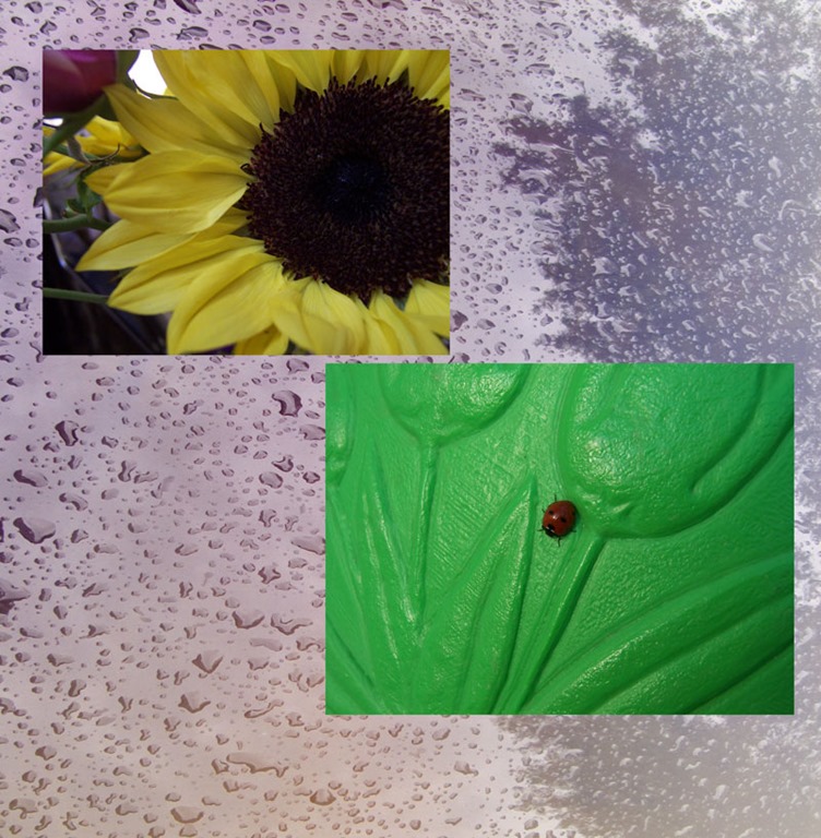 [Water_Collection%255B4%255D.jpg]
