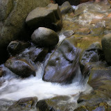 Flowing Water at the Falls