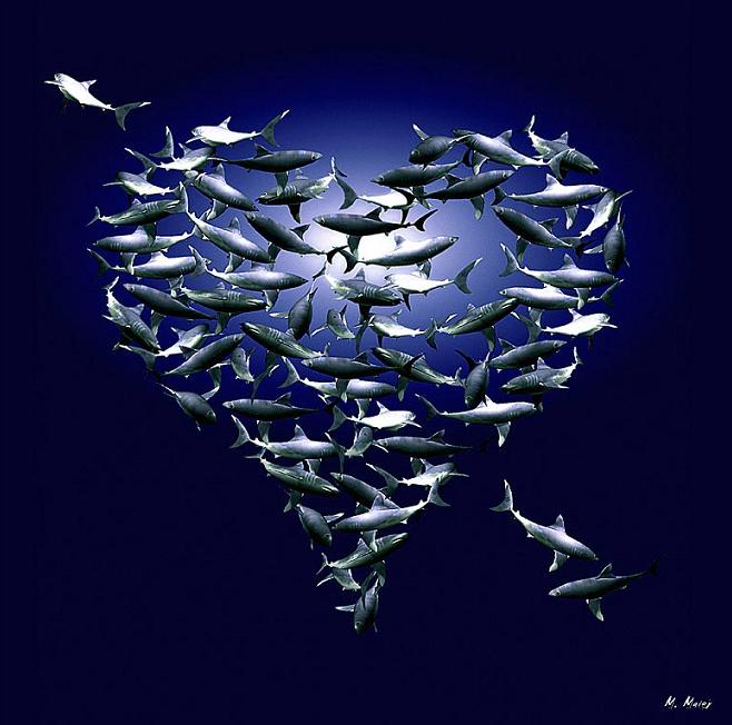 digiart fotografie & design