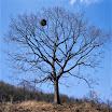 20090329 Velvia50_05-Edit.jpg