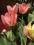 DSC03085.JPG