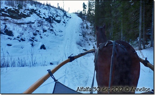 2012-des30-alf_03 2012-des30-alf_03