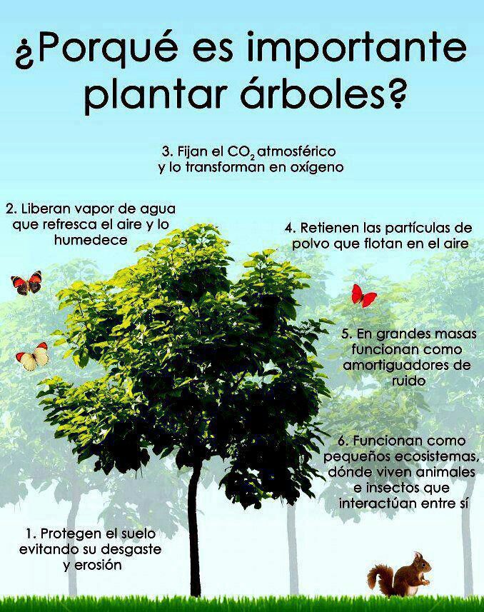 Tienes un blog y te gustaría que fuera más conocido? Sincroniza tu Tienes un blog y te gustaría que fuera más conocido? Sincroniza tu