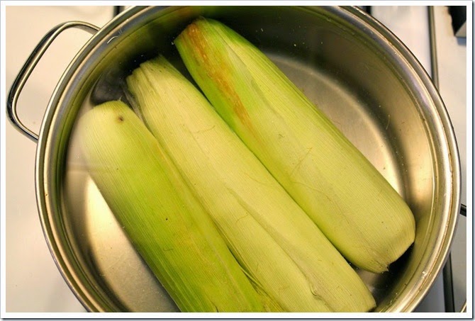 corn2 corn2