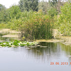 DSCN8333.JPG