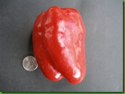 Pepper Perfection Pepper Perfection