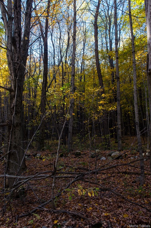 [Around%2520Dorset%2520%25289%2520of%252035%2529%255B2%255D.jpg]