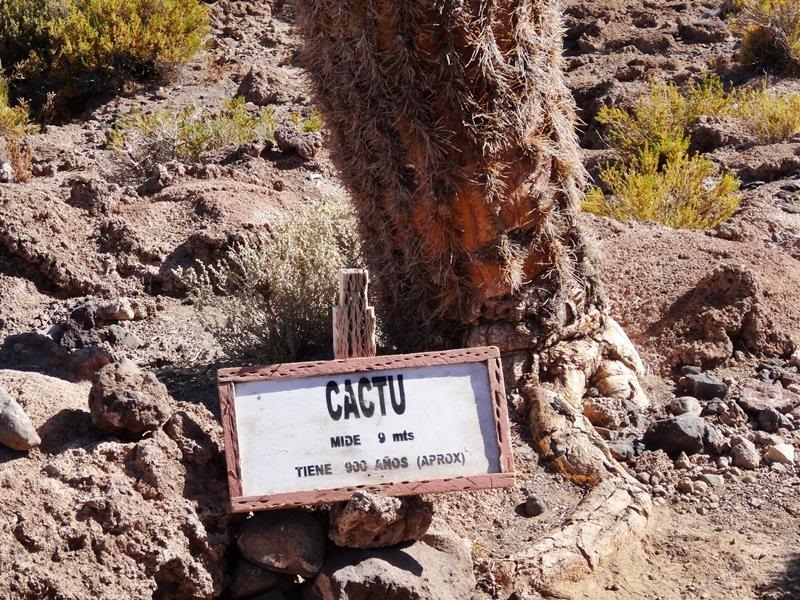 [Salar_de_Uyuni_DSC012362.jpg]