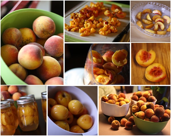 [Peach%2520Collage%255B3%255D.jpg]