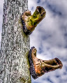 Climbing Boots
